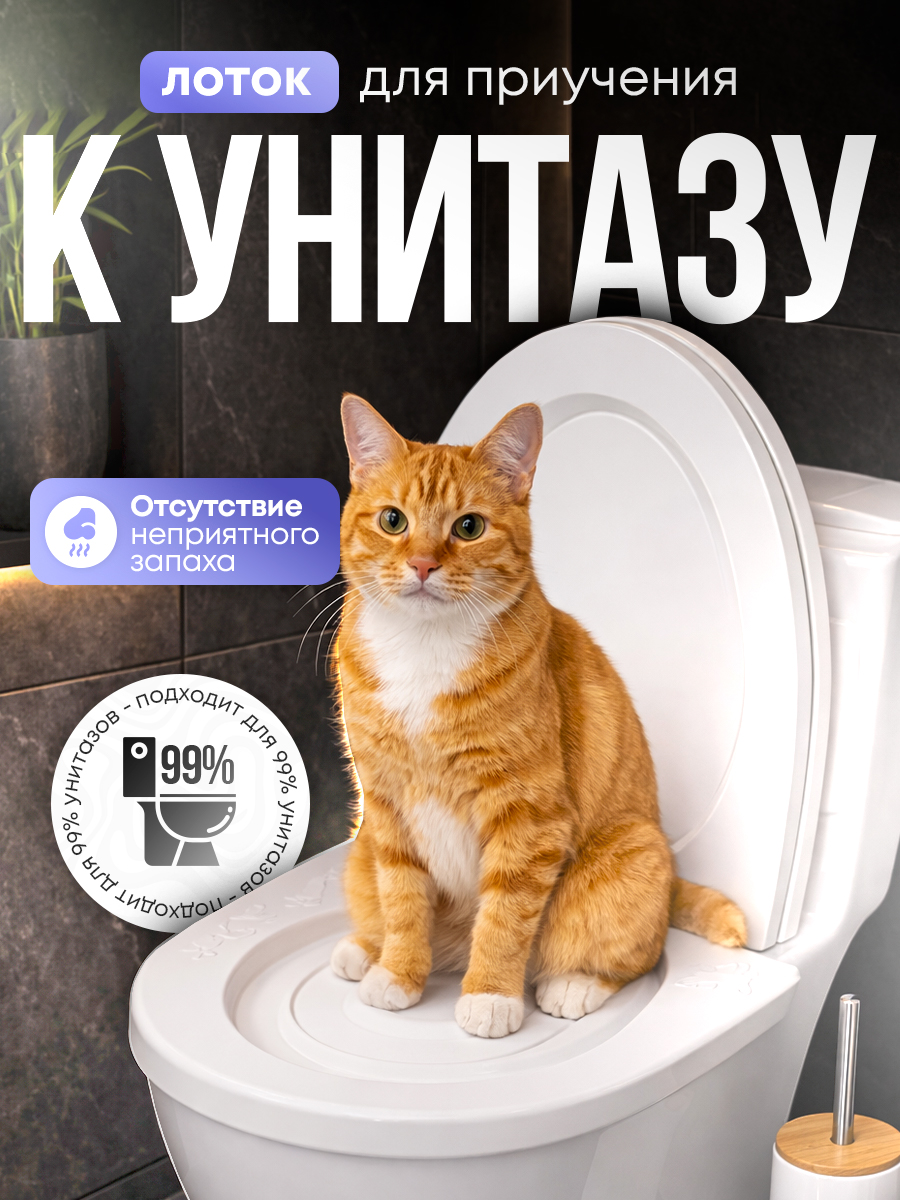 Работа студии